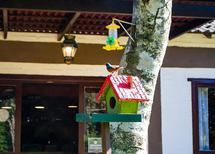 Pousada VillaSerranaPousada Monte Verde